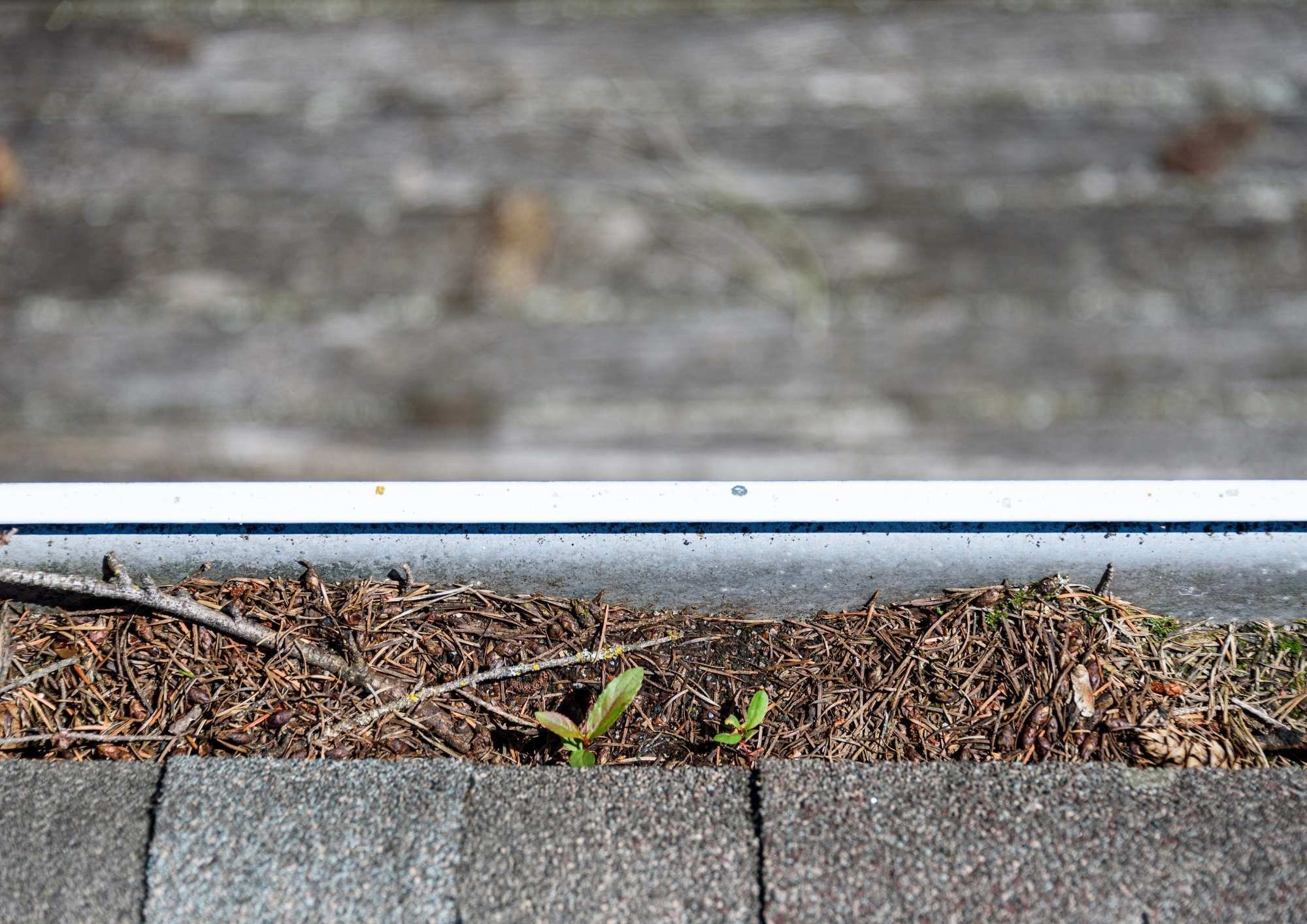 Ontwerp zonder titel (1)