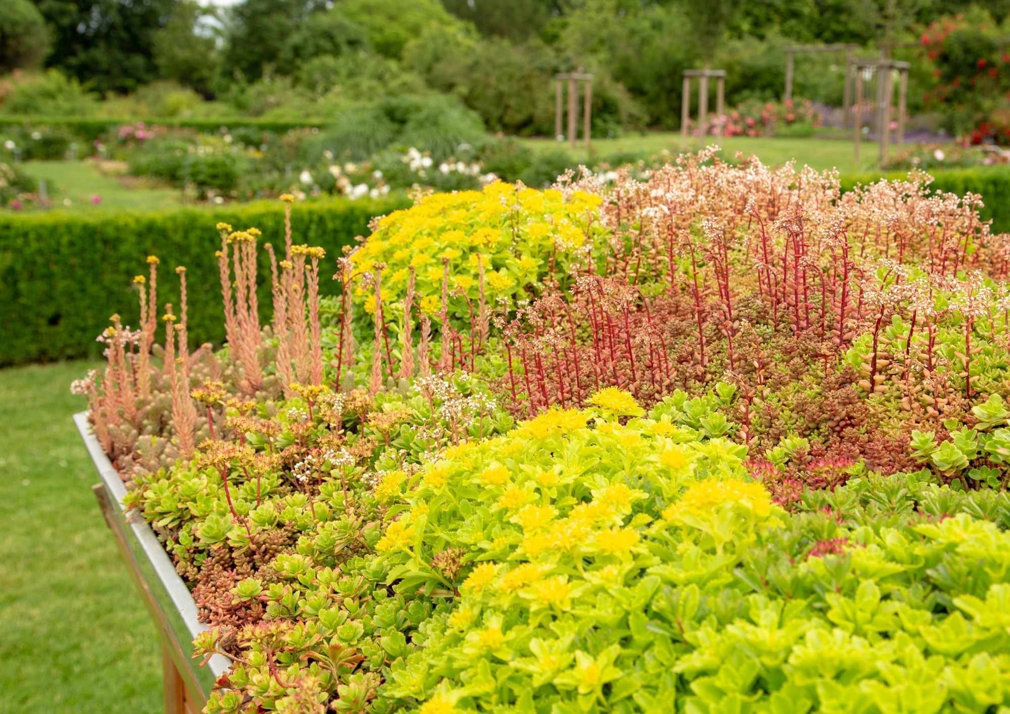 Ontwerp zonder titel (3)