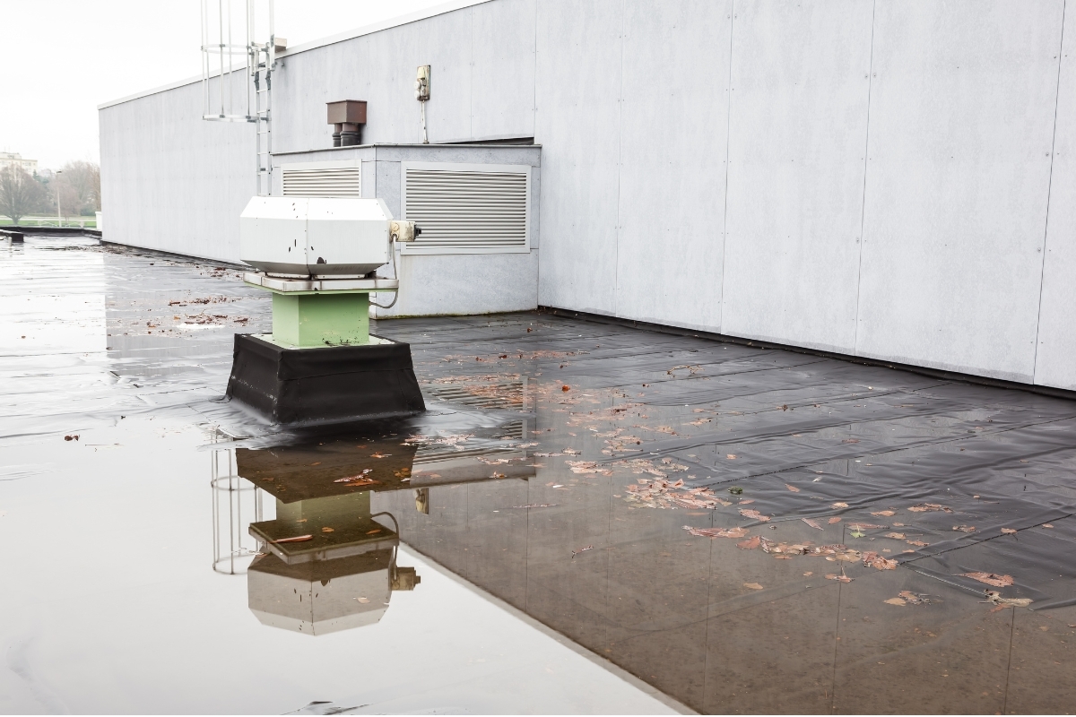 Dakkwerk. water op plat dak bedrijfshal