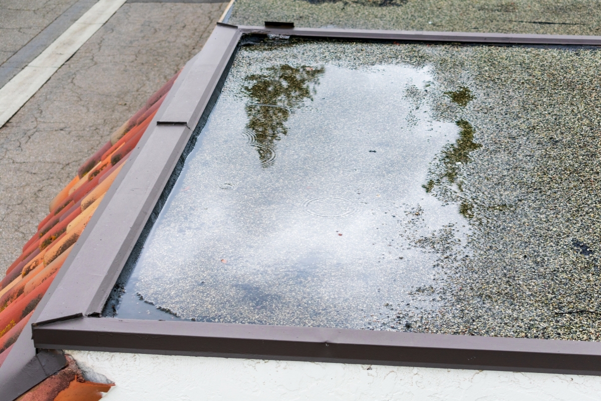 Dakkwerk. water op plat dak woonhuis (1)