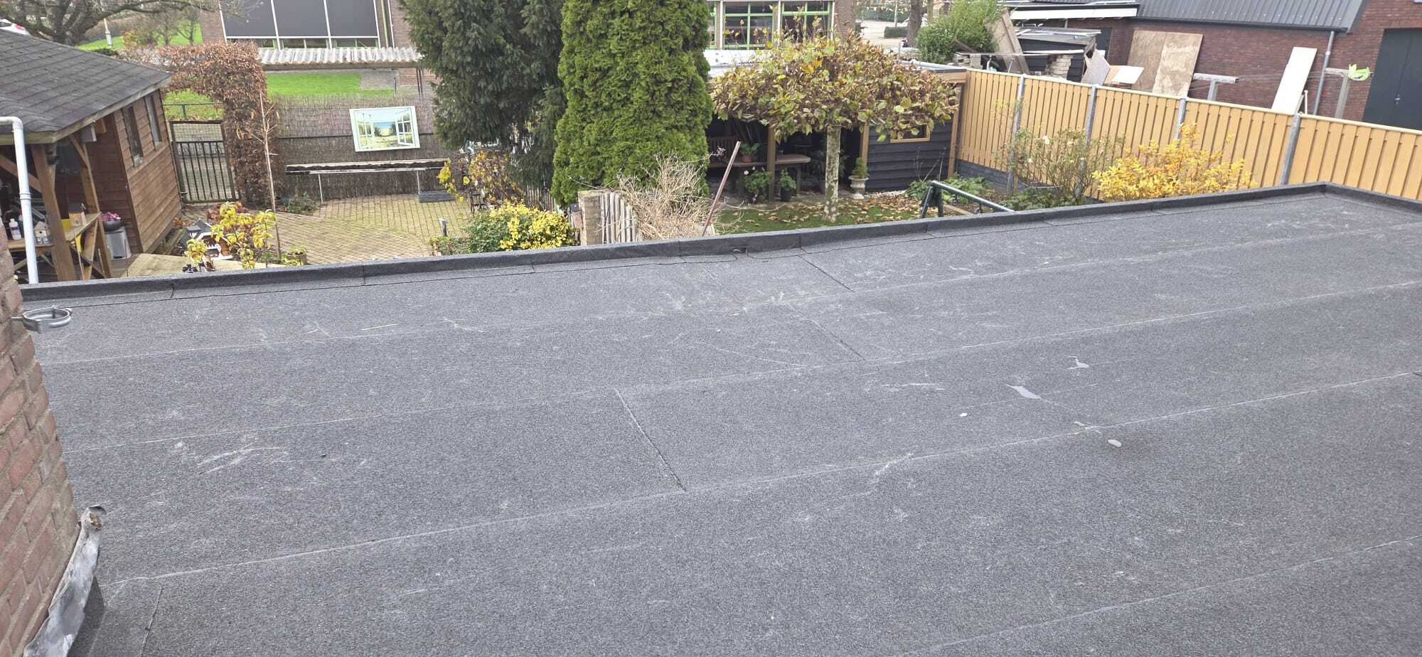 WhatsApp Image 2025-12-11 at 11.33.19