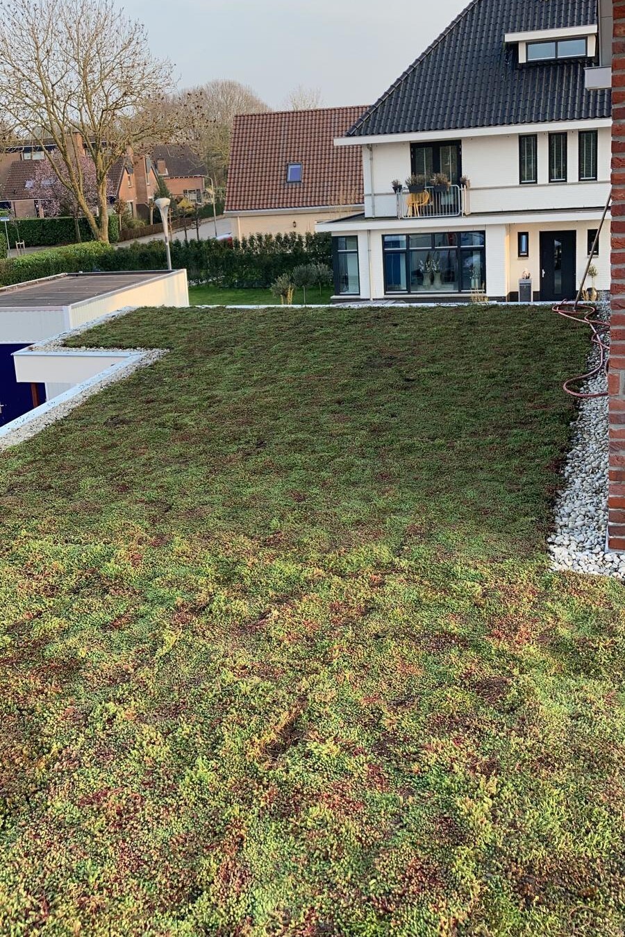 WhatsApp Image 2025-12-11 at 11.30.09 (1)